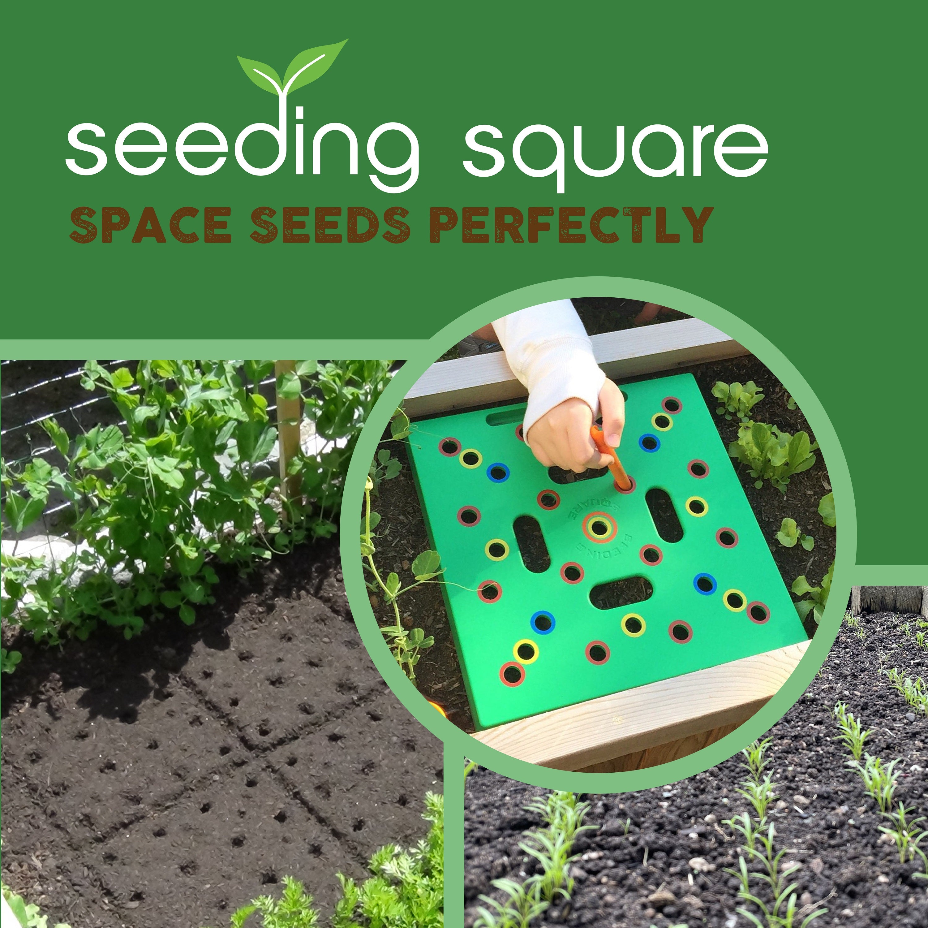 Seeding Square: A Seed-Sowing Template – Grow Perfectly Spaced Vegetables, Reduce Weeds, Conserve Water & Maximize Yield – Square-Foot-Gardening Seed and Seedling Spacer Tool