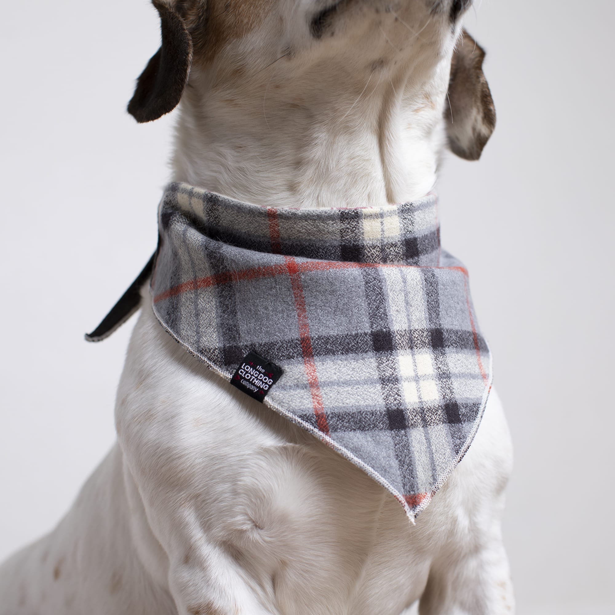 LONG DOG CLOTHING CO. The Old West Dog Bandana， Small