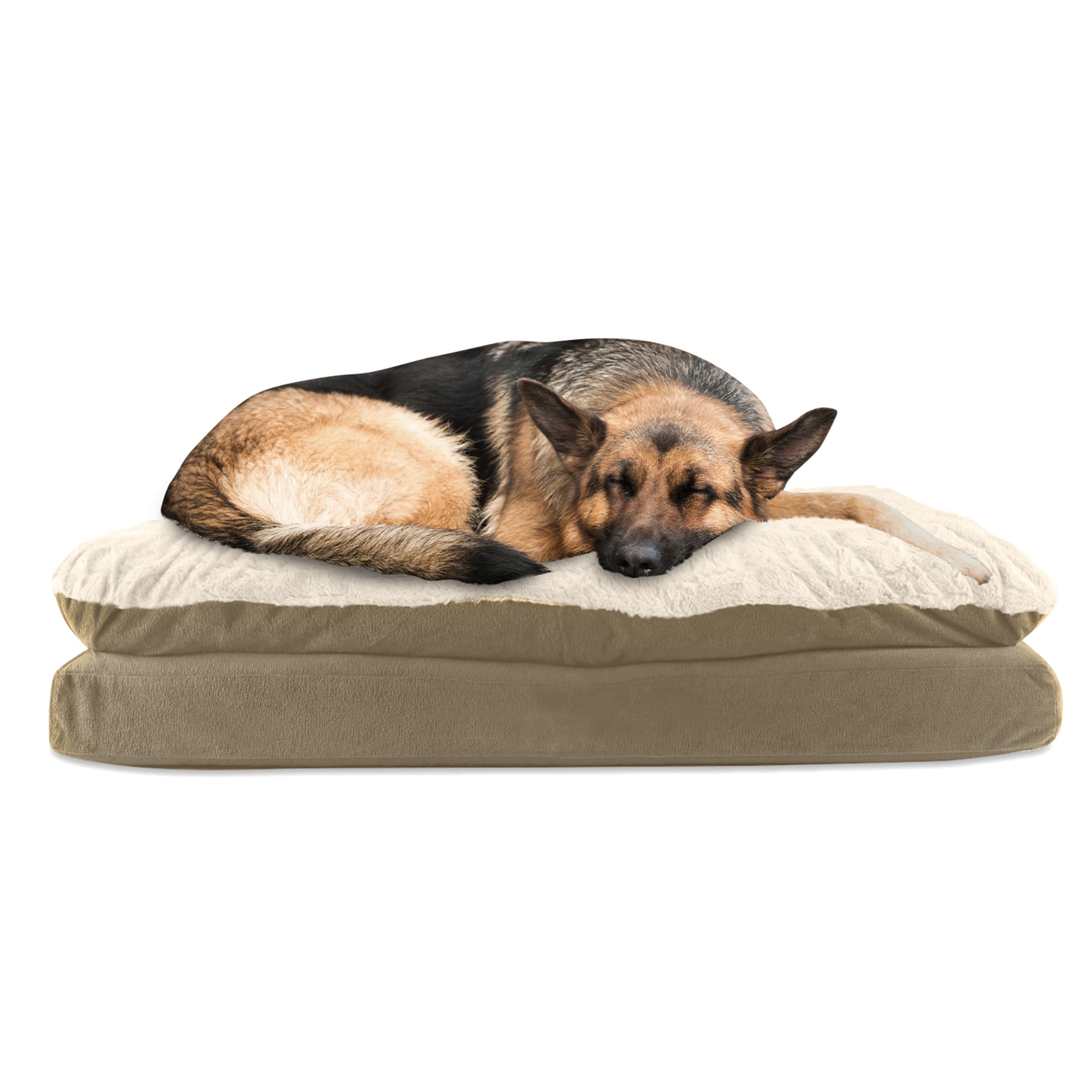 Canine Creations Mushroom Rectangle Dog Bed， 40