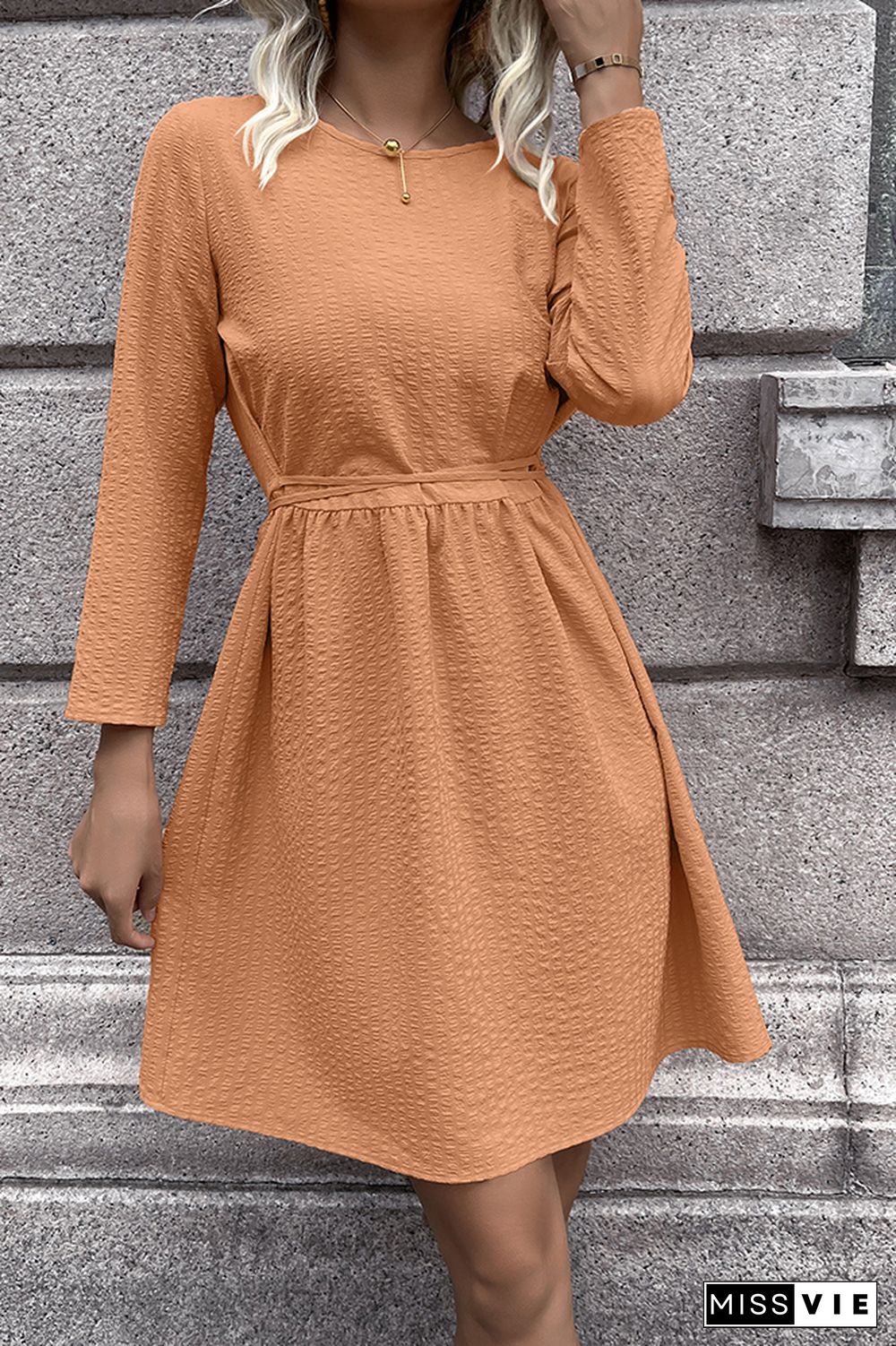 Waist Tie Long Sleeve Smock Mini Dress