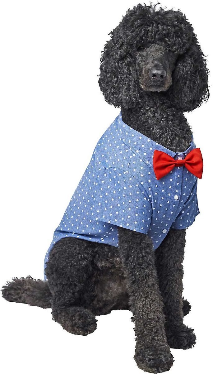 Frisco Polka Dot Chambray Dog and Cat Button Up Shirt