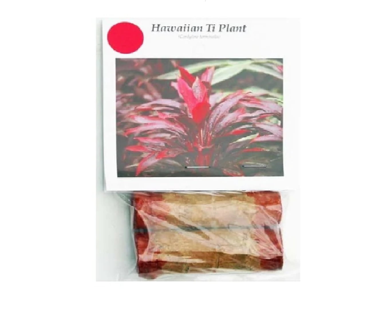 Live Red Ti Leaf Plant Logs 1 Pk (2 Logs Each 2