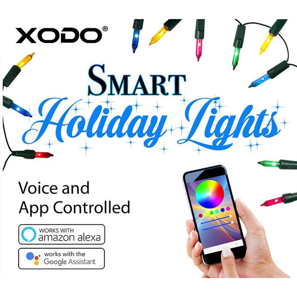 Xodo Smart Christmas Lights OutdoorIndoor 35 ft. Plug-In Globe Bulb LED String Light Compatible with AlexaGoogle Assistant DL1