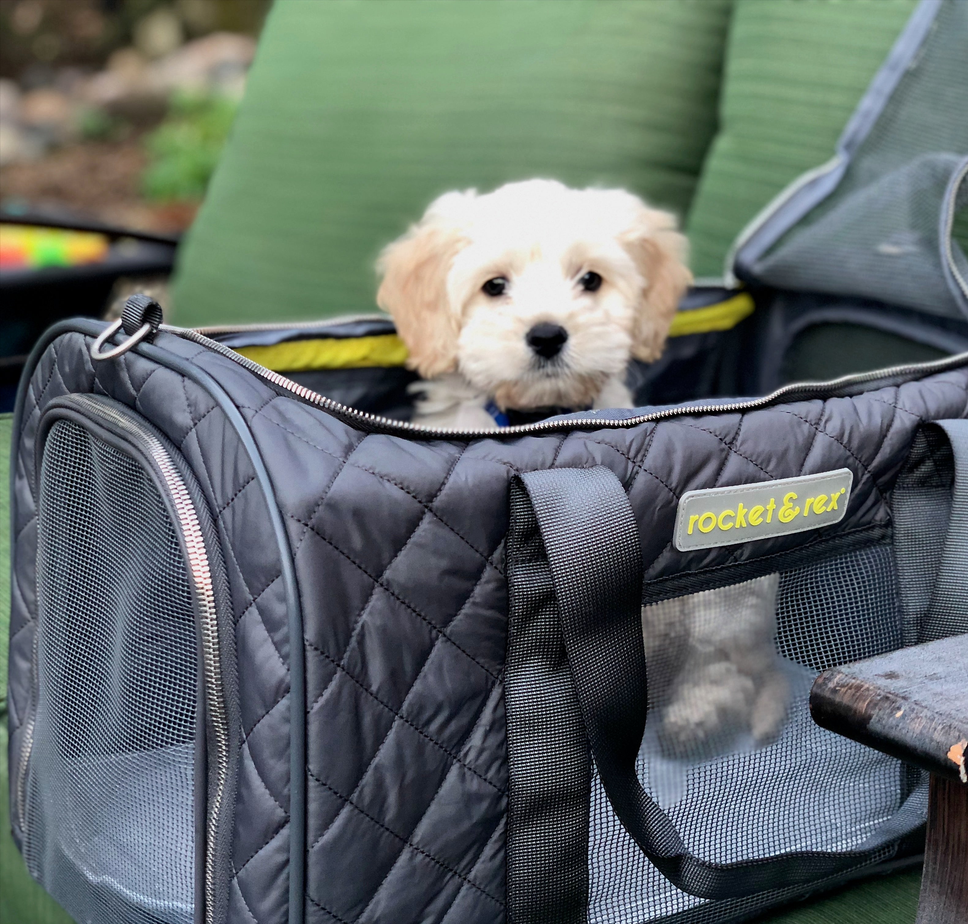 rocket and rex Premium， Soft Sided Pet Carrier. for Dogs， Puppies and Cats up to 16 lbs. Car Rides， Everyday Use and Travel. Airline Approved. Collapsible， Rigid Frame for Easy Storage.