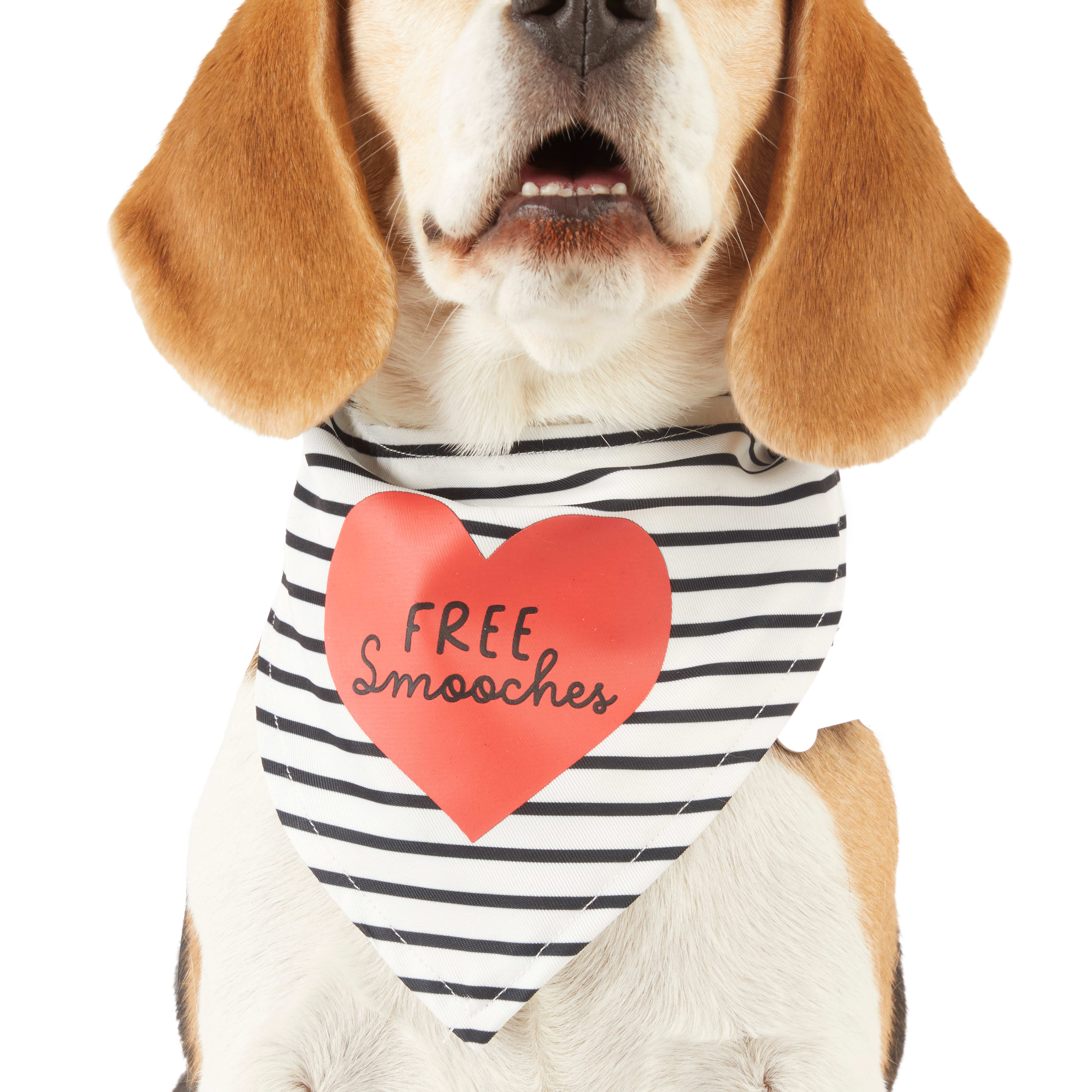 YOULY Valentines Day Free Smooches Striped Dog Bandana， Small/Medium