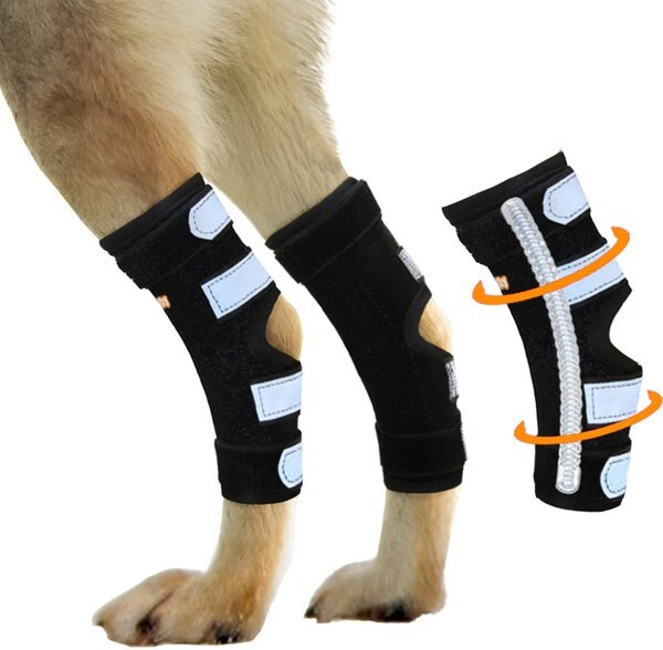 NeoAlly Rear Leg Metal Spring Support Dog Brace， 2 count