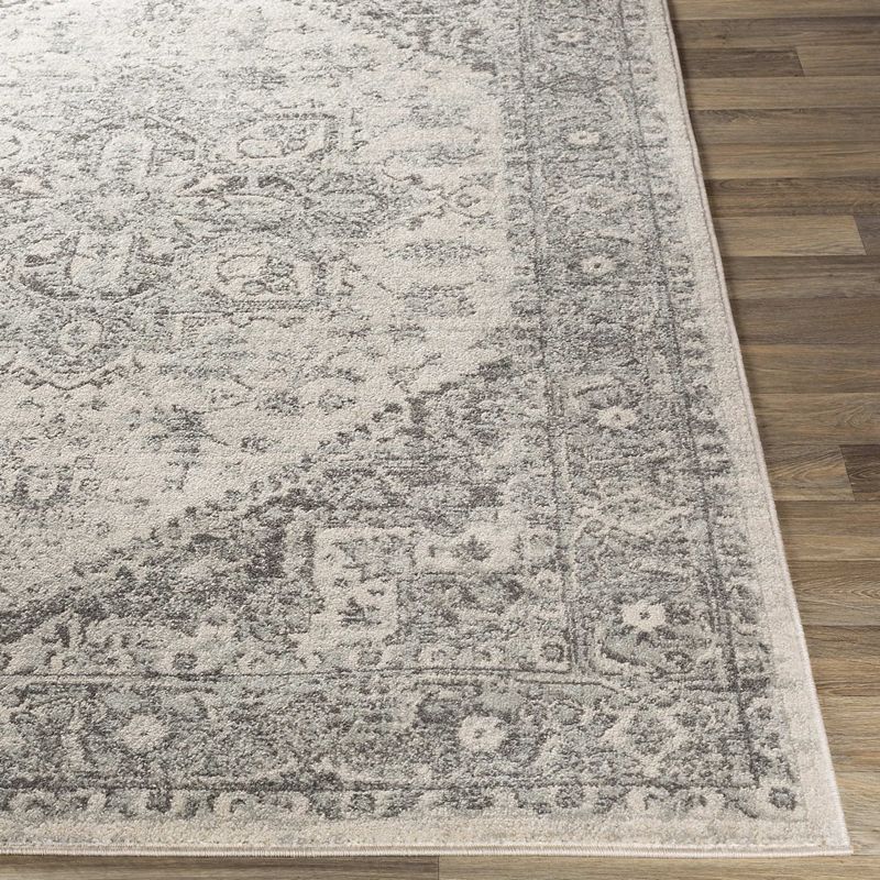 Chartres Traditional Area Rug