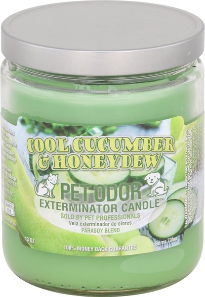 Pet Odor Exterminator Cool Cucumber and Honeydew Candle