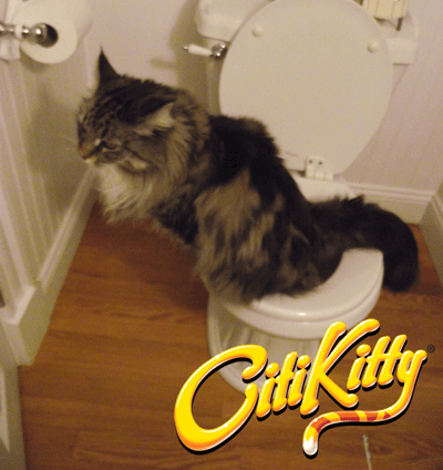 CitiKitty Cat Toilet Training Kit