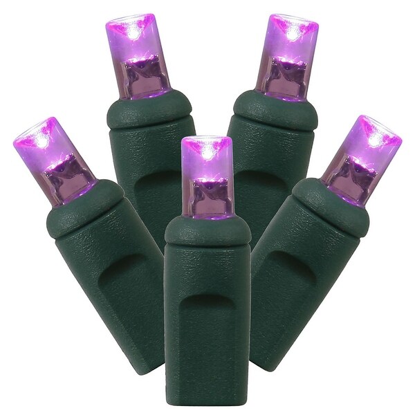 Vickerman 50 Purple Wide Angle LED Light on Green Wire，25' Christmas Single Mold Light Strand