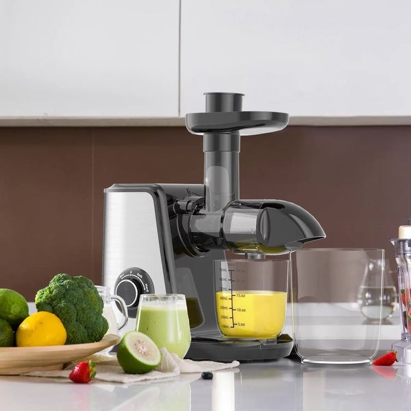 Slow Masticating Juicer for Vegetable and Fruit