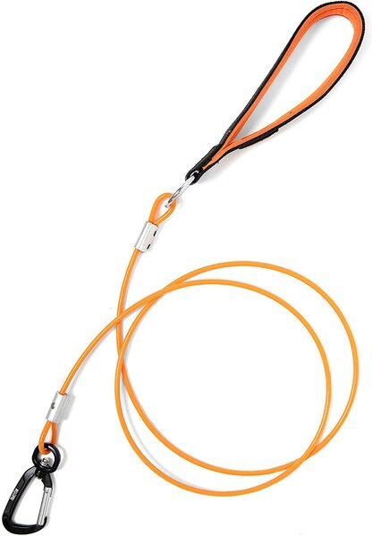 Mighty Paw Stainless Steel Chew Proof Cable Dog Leash， 6-ft long