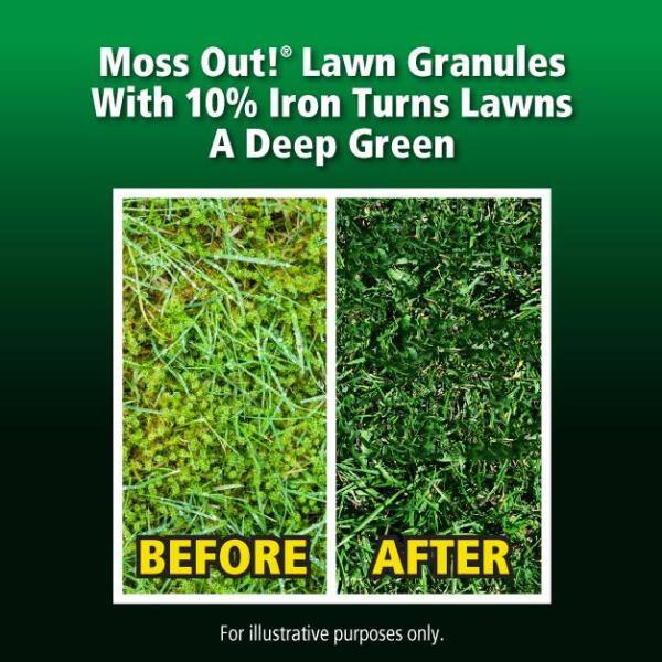 Moss Out! 20 lb. Moss Out! Moss Killer Lawn Granules 100099164