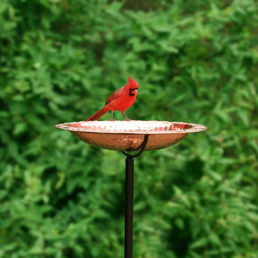 Good Directions Pure Copper Bird Bath on Garden Pole BBG