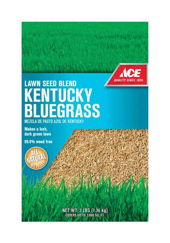 ACE KY BLUEGRASS SEED 3#