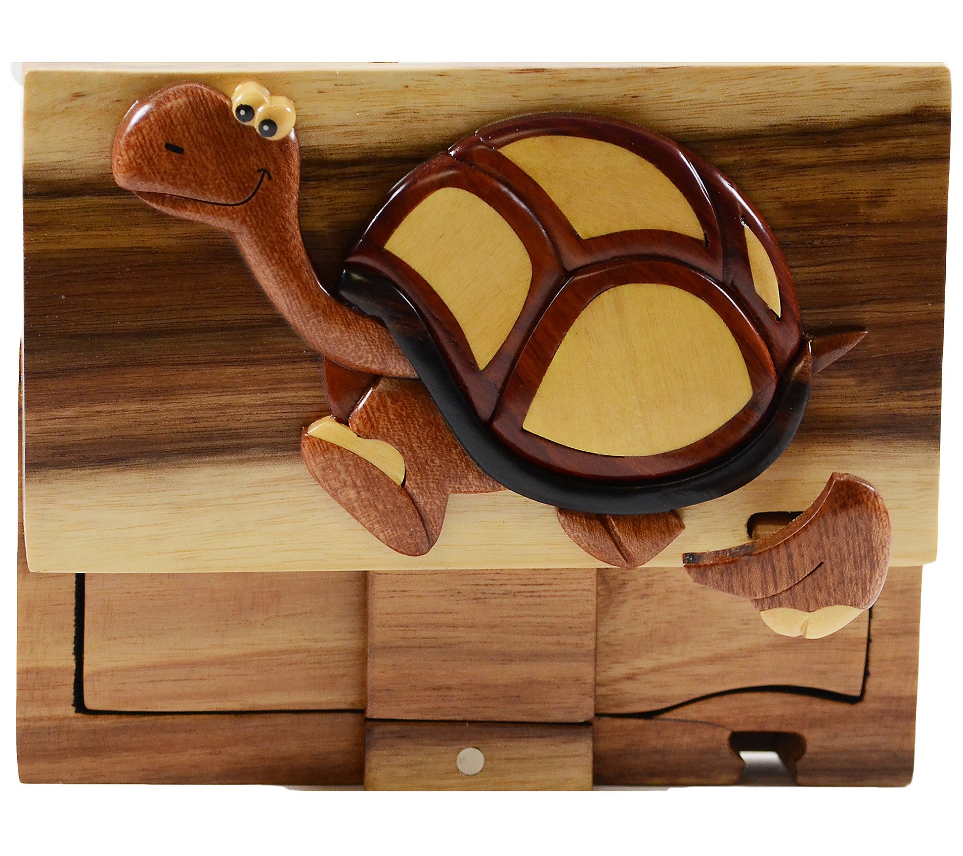 Carver Dan's A Turtle's Pace Puzzle Box with Magnet Closures