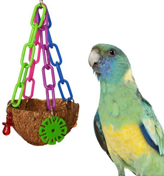 Super Bird Creations Coco Treat Cup Bird Toy