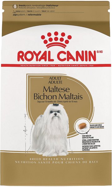 Royal Canin Breed Health Nutrition Maltese Adult Dry Dog Food