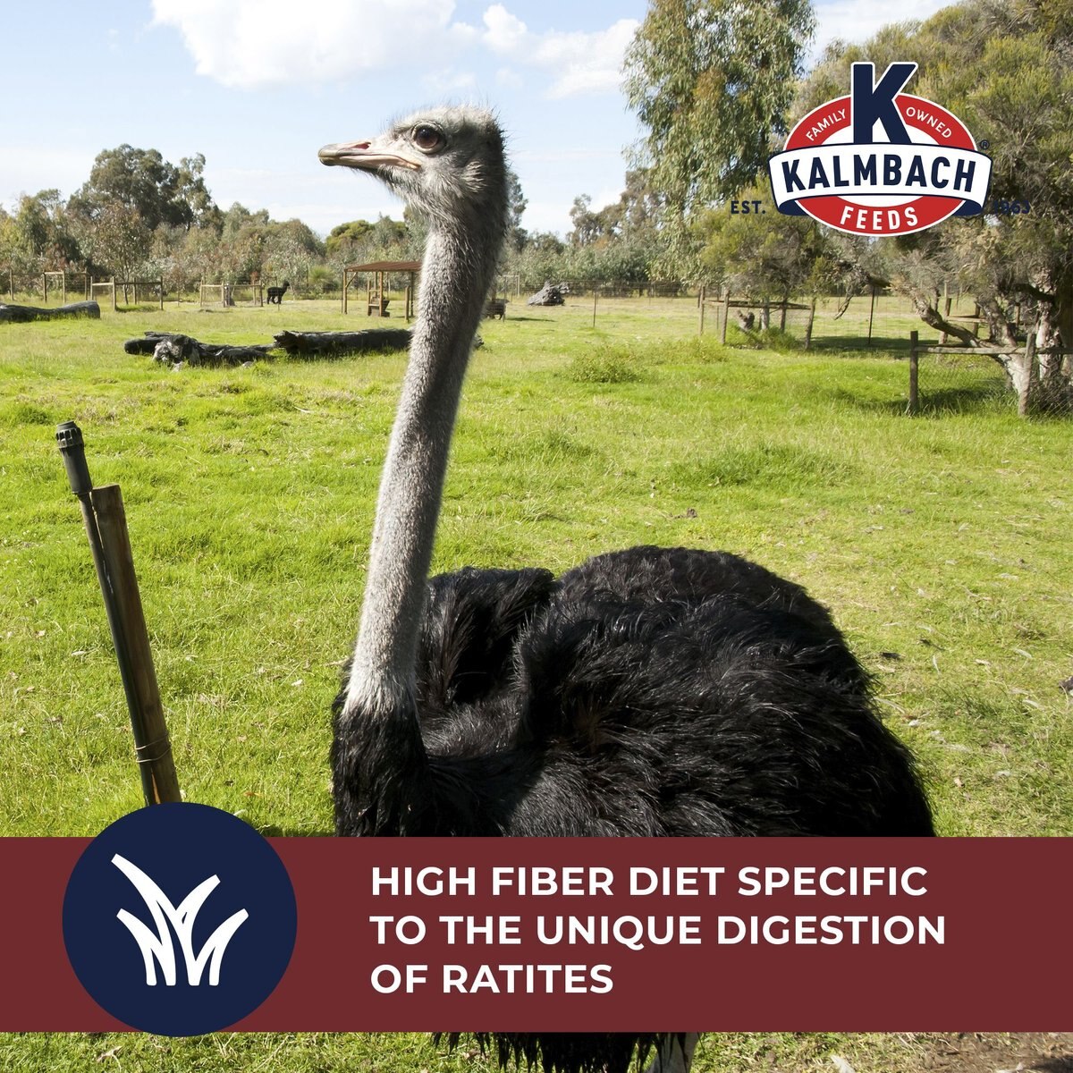 Kalmbach Feeds 20% Ostrich and Emu Pellet Ratite Food， 50-lb bag