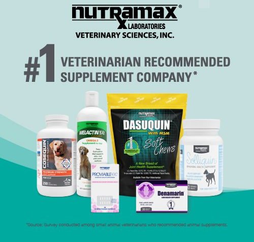 Nutramax Dasuquin Hip and Joint Chewable Tablets Joint Supplement for Small and Medium Dogs