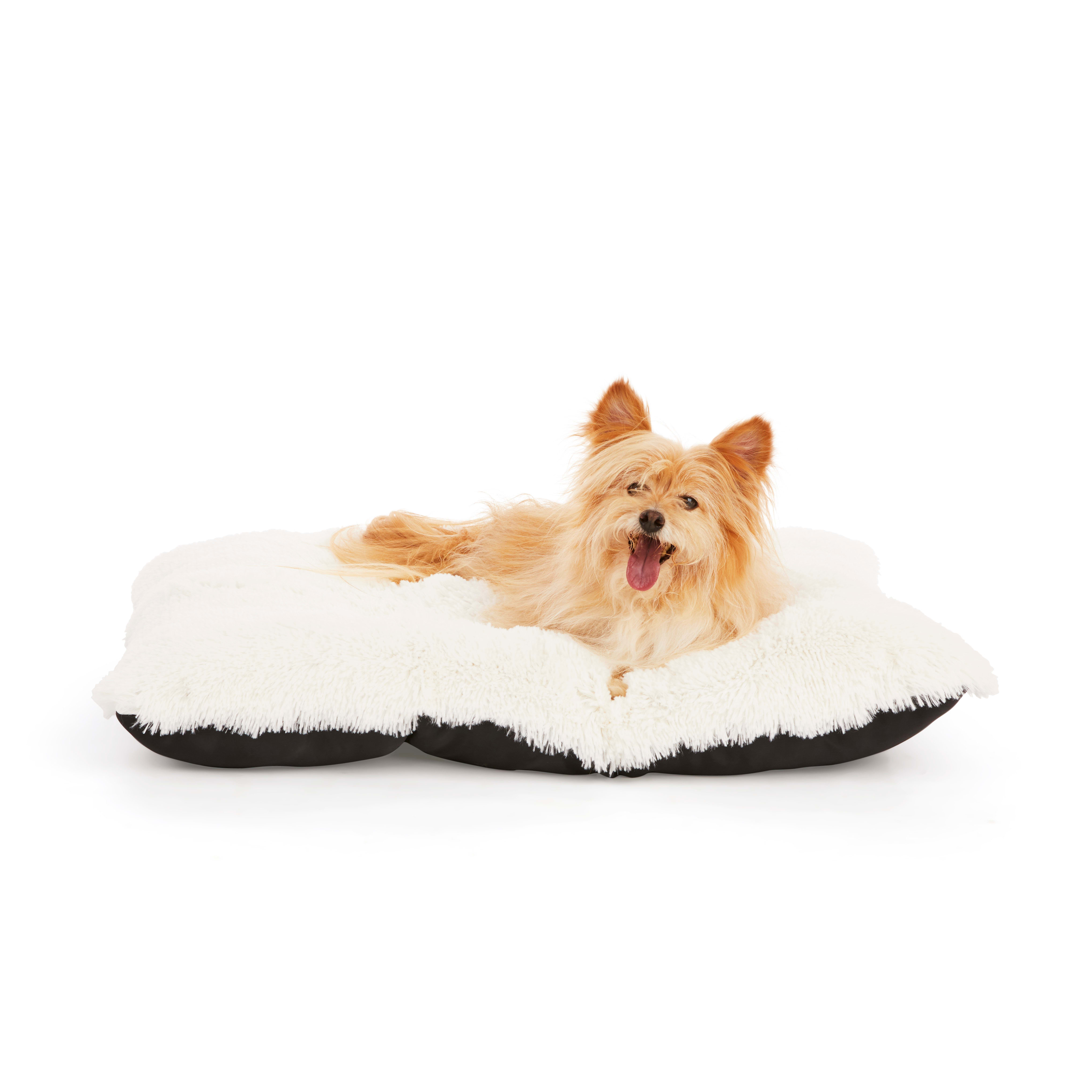 EveryYay Essentials Snooze Fest Lavender-Scented Lounger Dog Bed， 24