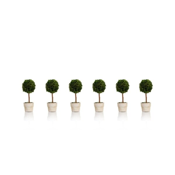 6 Tall Preserved Boxwood Topiary，Ball Shaped (Set of 6)