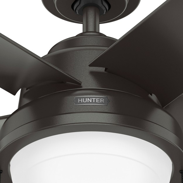 Seawall Outdoor Ceiling Fan With Led Light Hunter Fan