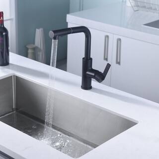 Ultra Faucets Hena Single-Handle Pull-Out Sprayer Kitchen Faucet with Accessories in Rust and Spot Resist in Matte Black UF13707