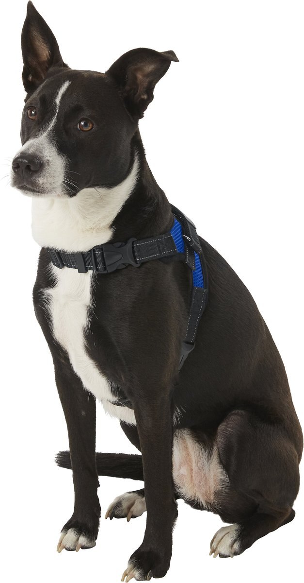 Copatchy No-Pull Reflective Adjustable Dog Harness