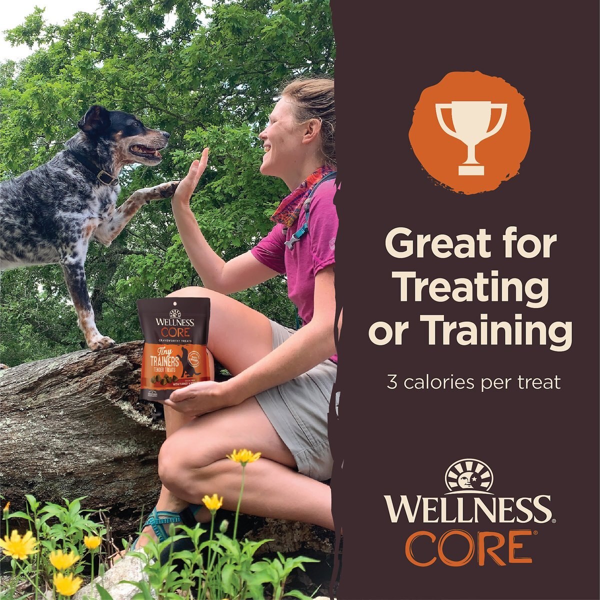 Wellness CORE Tiny Trainers Tender Turkey and Pomegranate Dog Treats， 6-oz bag