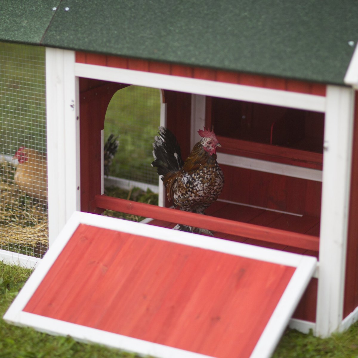 Prevue Pet Products Chicken Coop