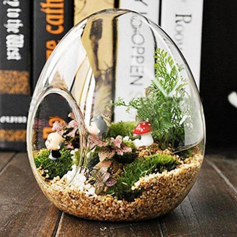 6 Pack Air Plant Glass Egg Shaped Terrarium Self Standing Planter 5