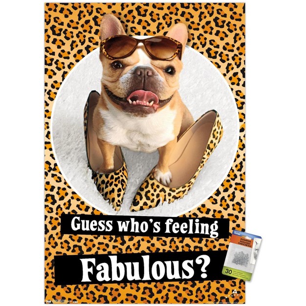 Trends International Avanti Fabulous Frenchie Unframed Wall Poster Prints