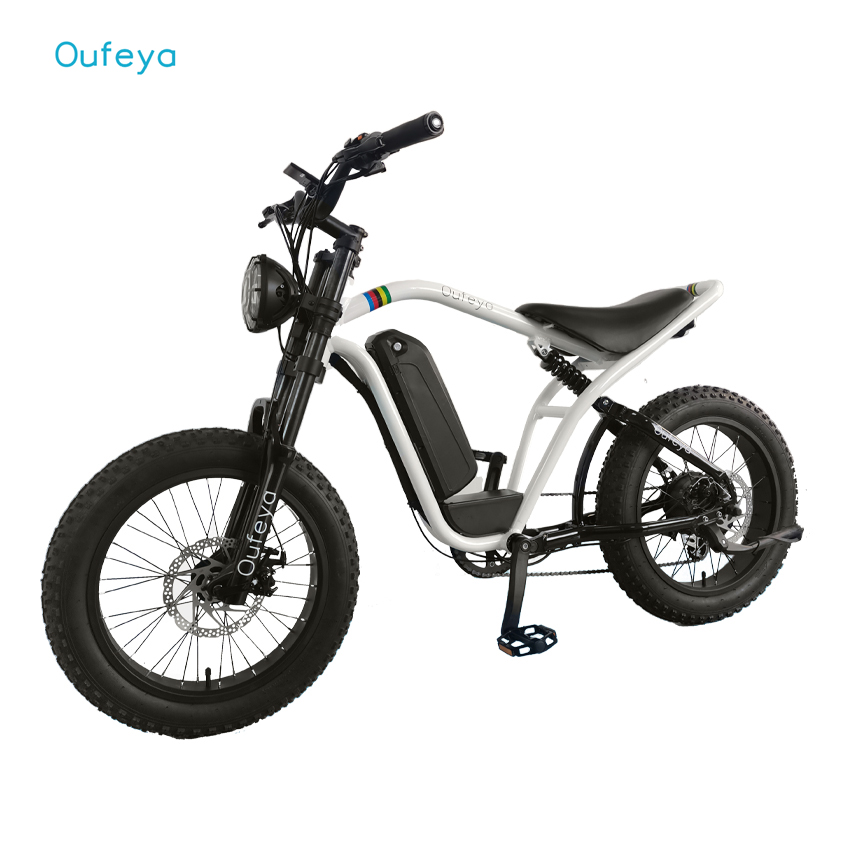 Fat tire bike 20inch 7 speed mountain bike 4inch wide tire beach snow bicycle Adult electric bike cruiser electric bicycle