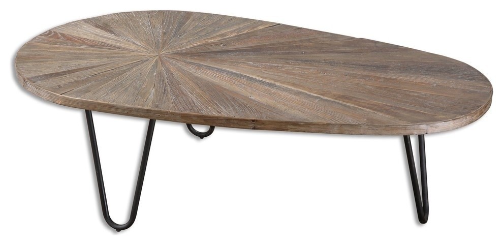 Modern Oval Recycled Wood Iron Coffee Table   Coffee Tables   by My Swanky Home  Houzz