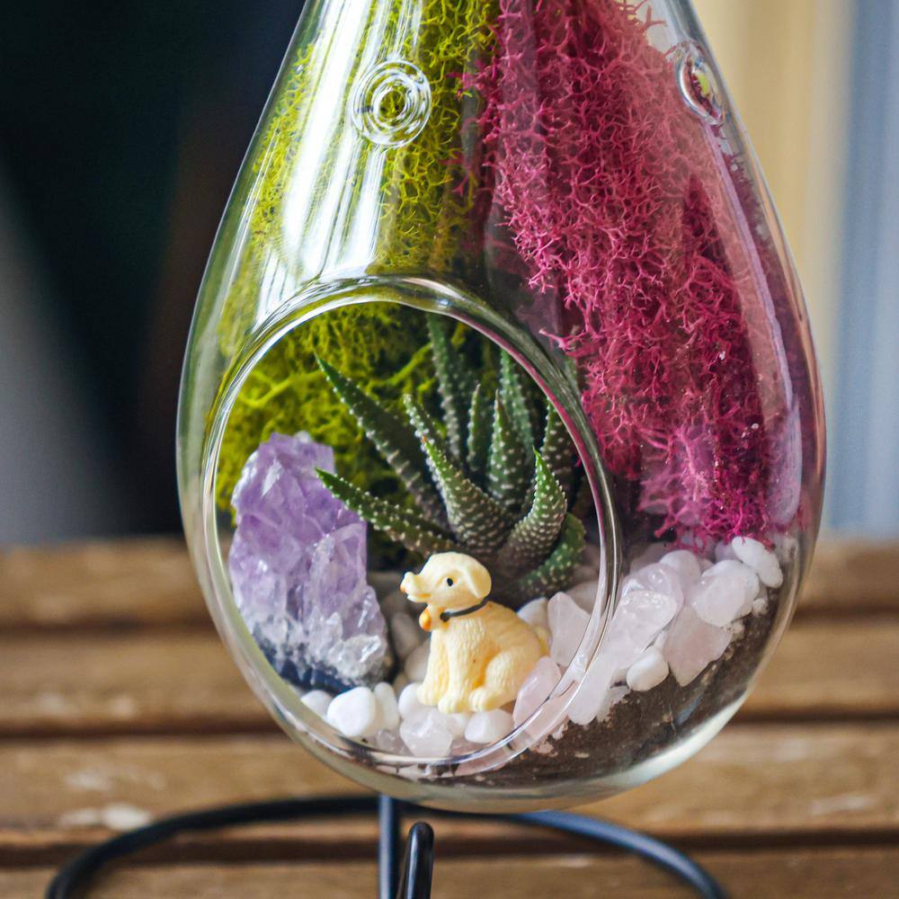 Creations by Nathalie DIY Terrarium Kit with Live Succulent Glass Teardrop Metal Stand Reindeer Moss Crystals Rocks Tools and Figurine CW-OS3V-7UGJ