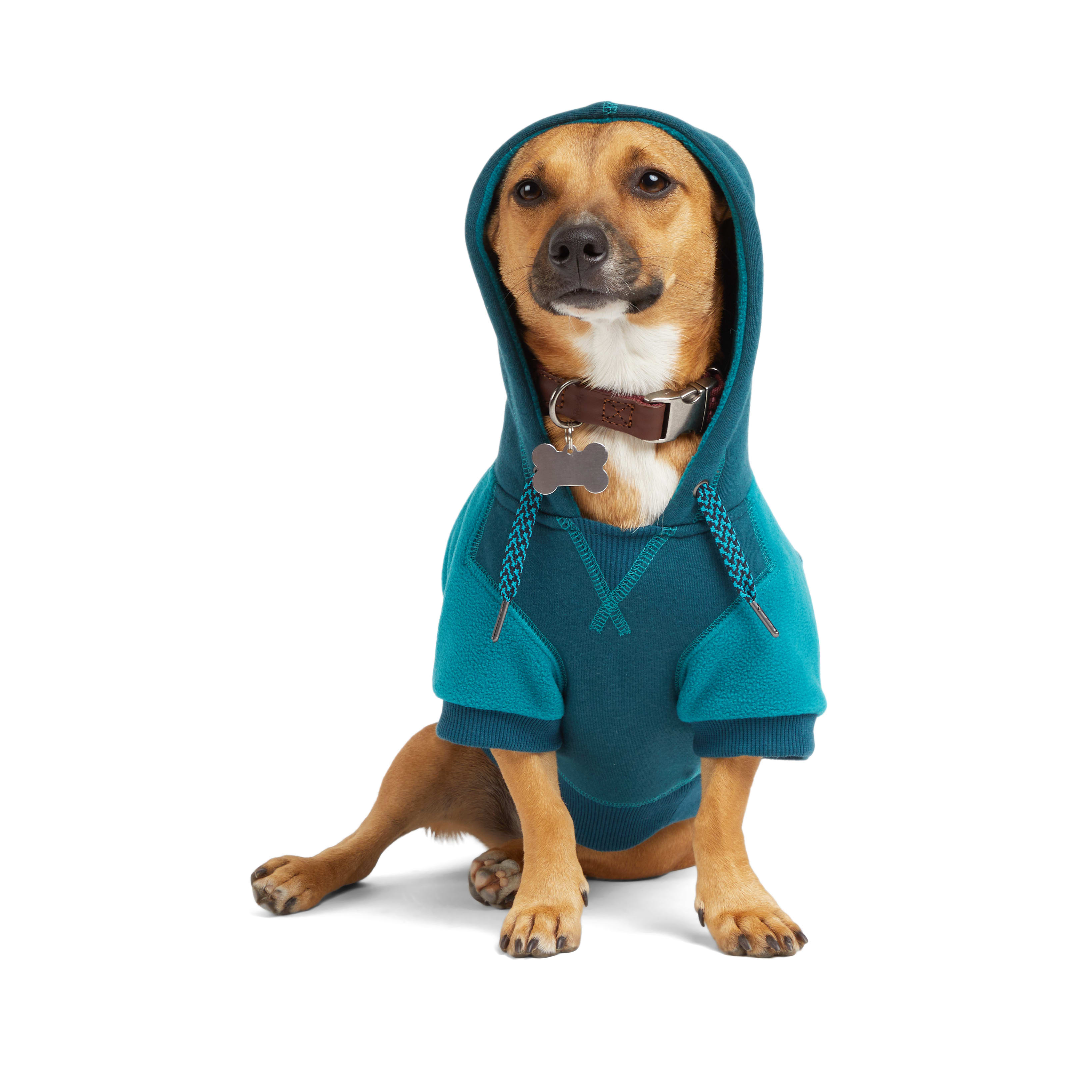 Reddy Teal Felt Print Dog Hoodie， X-Small