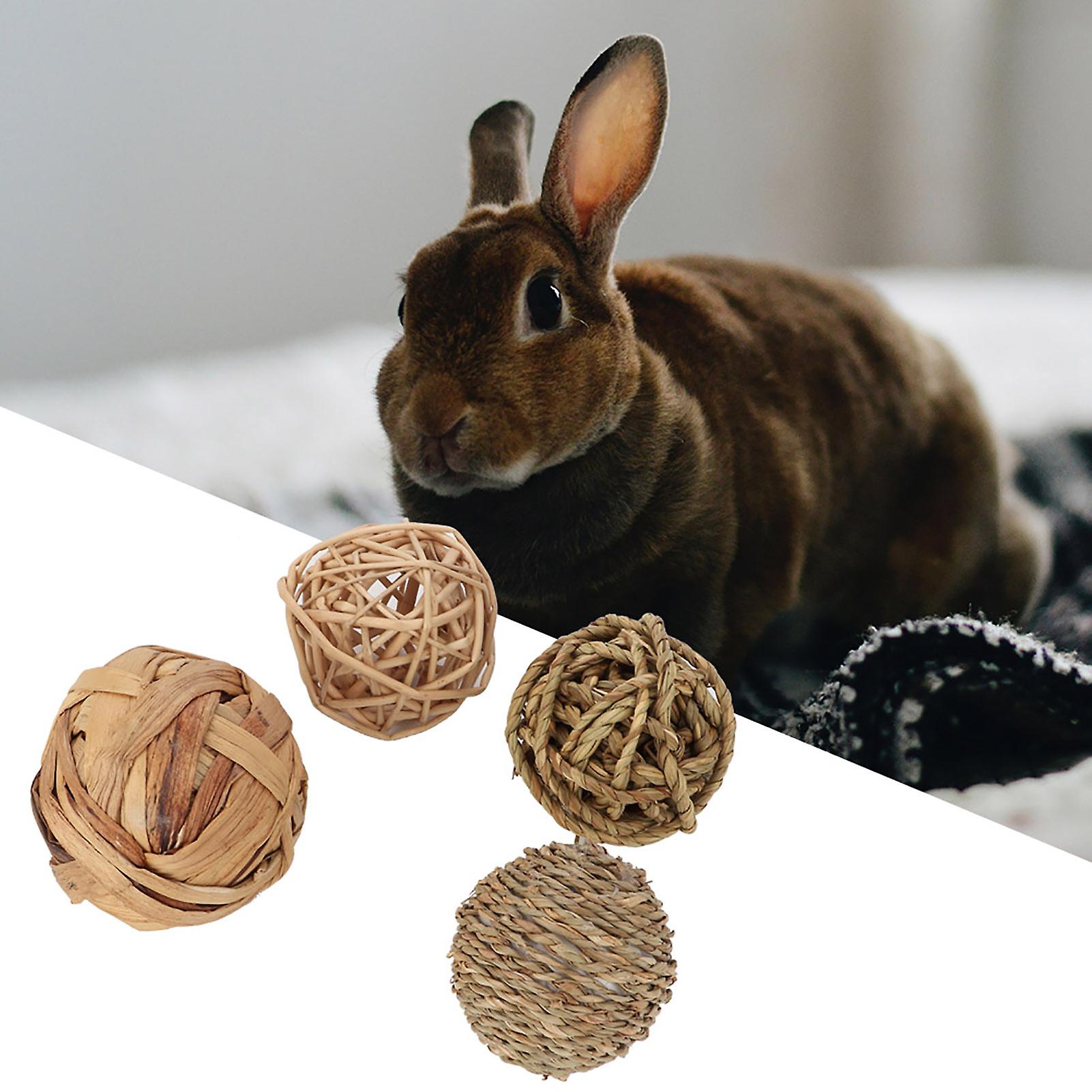 4pcs Small Animal Activity Toy Pets Chew Balls Bunny Rabbits Guinea Pigs Gerbils