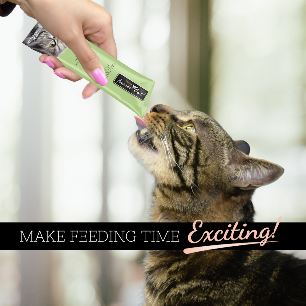 Fussie Cat Puree Mackerel Cat Treat