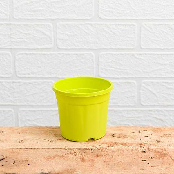 6 inch (15 cm) Grower Round Plastic Pot (Lime Yellow) (set of 6)