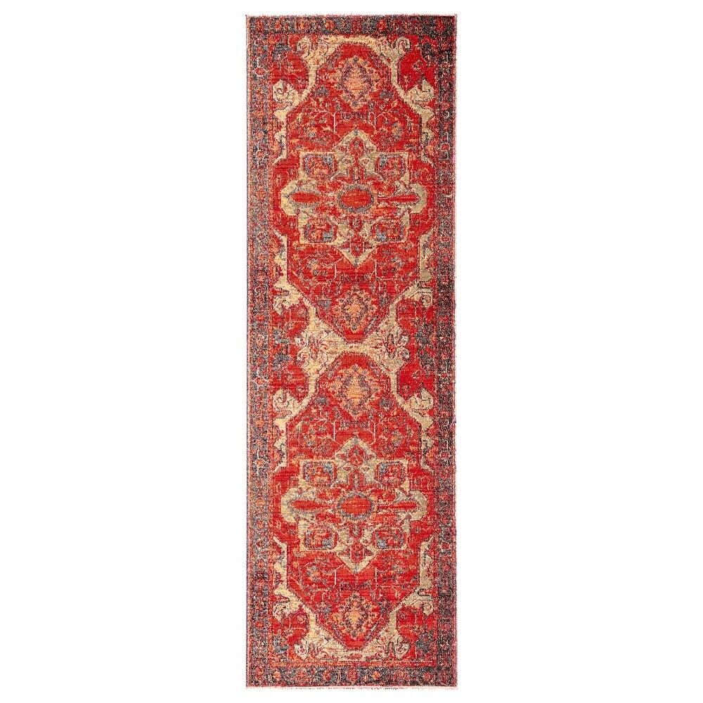 Leighton Indoor and Outdoor Medallion Area Rug