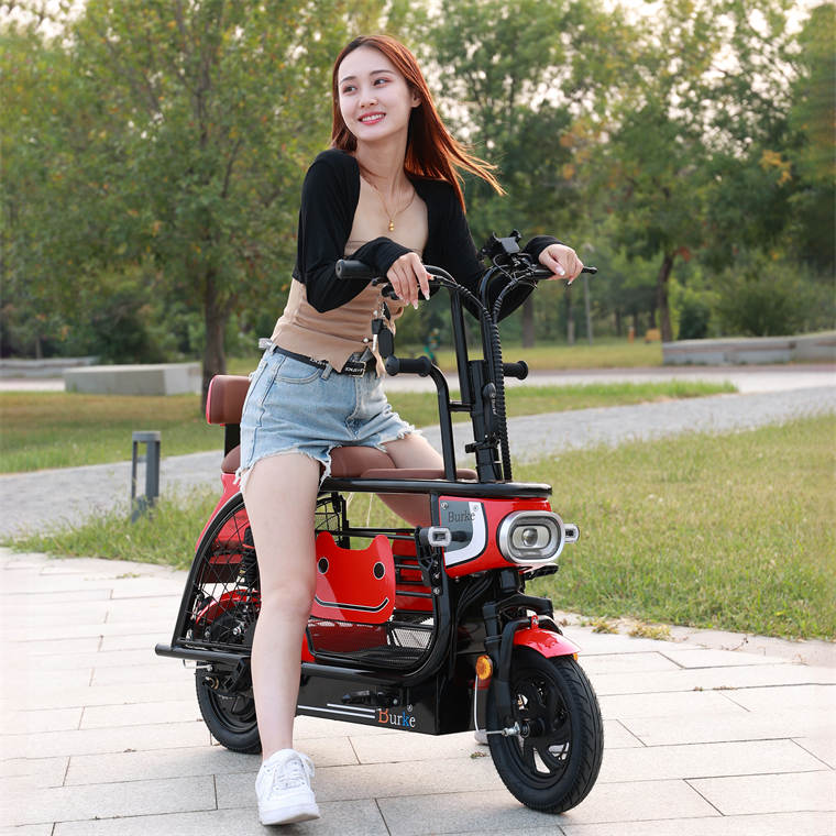 Adult Popular Foldable 350w 36v 10ah cycle  mini three wheeled electric bike  pet bike