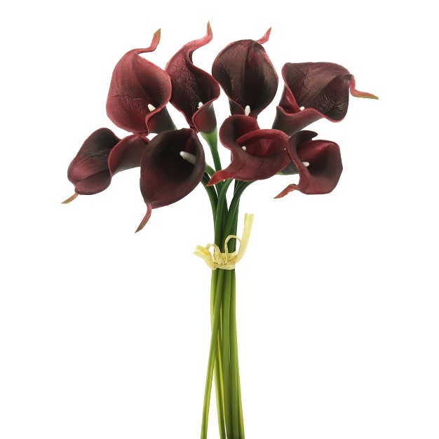 Calla Lily Bundle