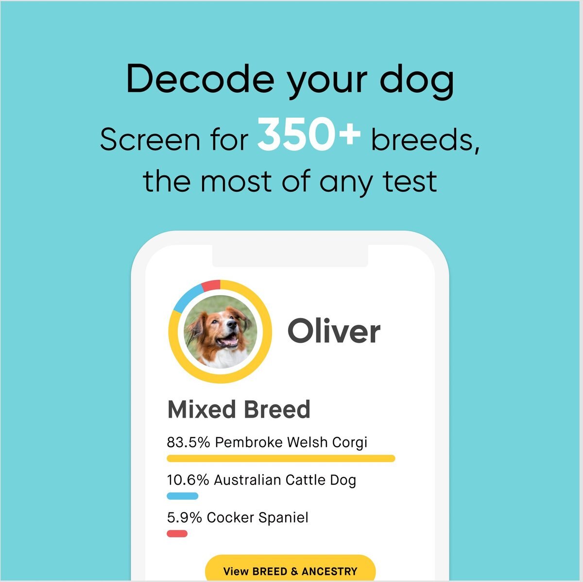 Embark Breed Identification and Health Condition Identification DNA Test for Dogs