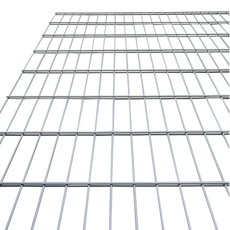 6/5/6mm Galvanized and Powder coated Double wire panels