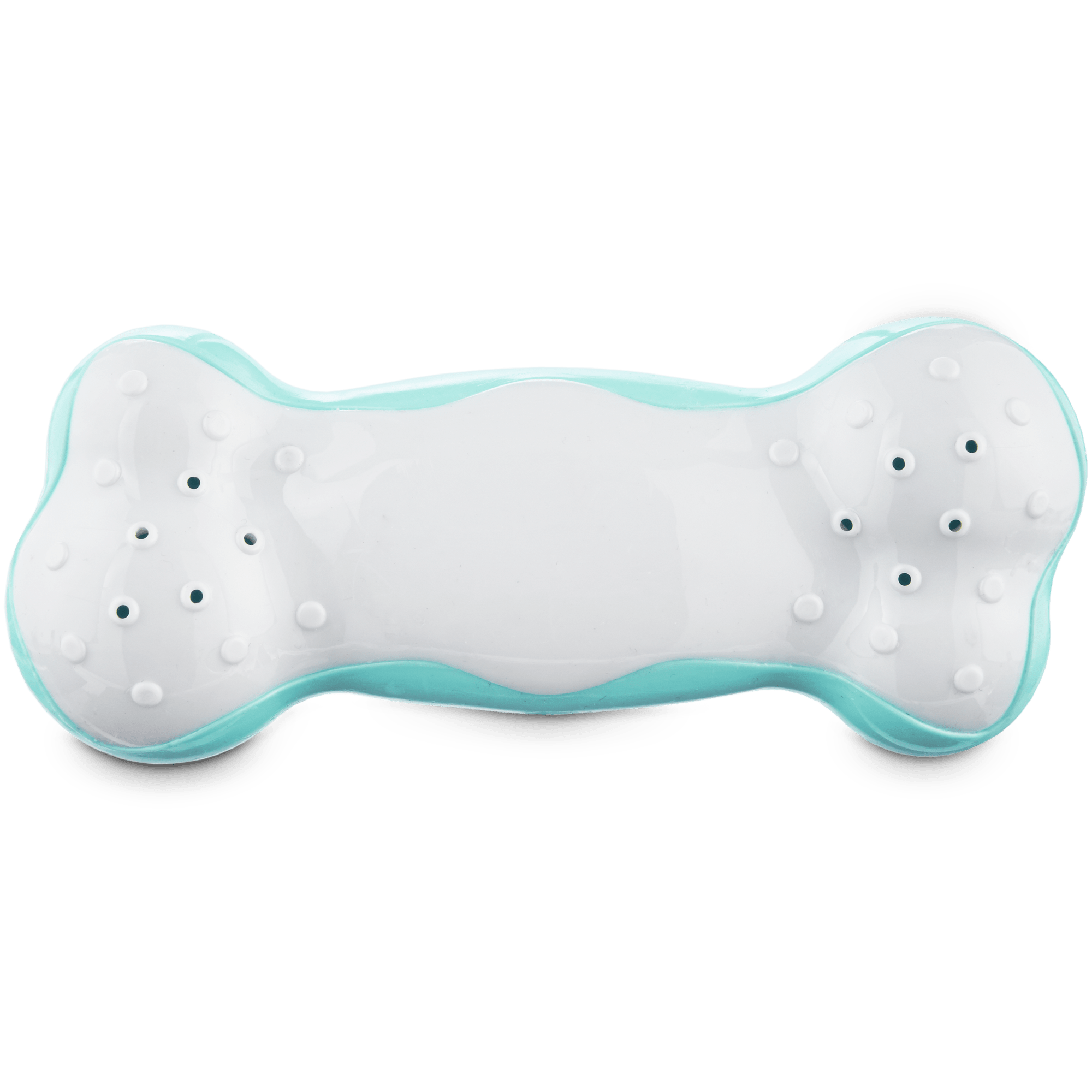 Good2Go Freezable TPR Bone Dog Toy， Large