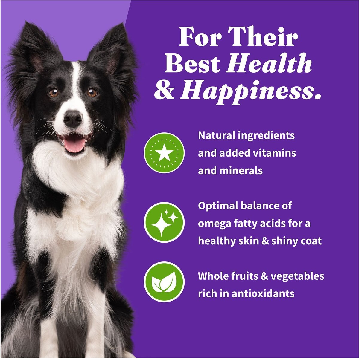 Halo Holistic Vegan Dog Food Complete Digestive Health Plant-Based Recipe with Superfoods Adult Formula Dry Dog Food