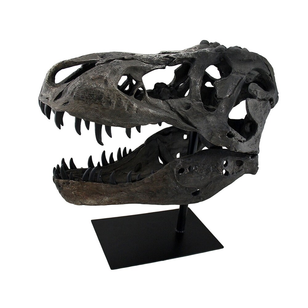 Tyrannosaurus Rex Replica Fossil Skull Statue On Museum Mount T Rex   19 X 18.5 X 12 inches