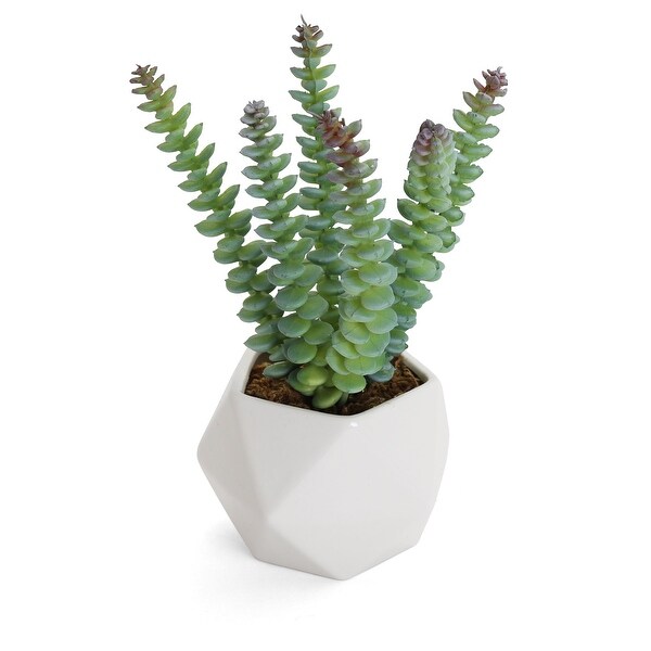 Artificial Succulent