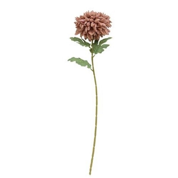 Chrysanthemum Branch 30